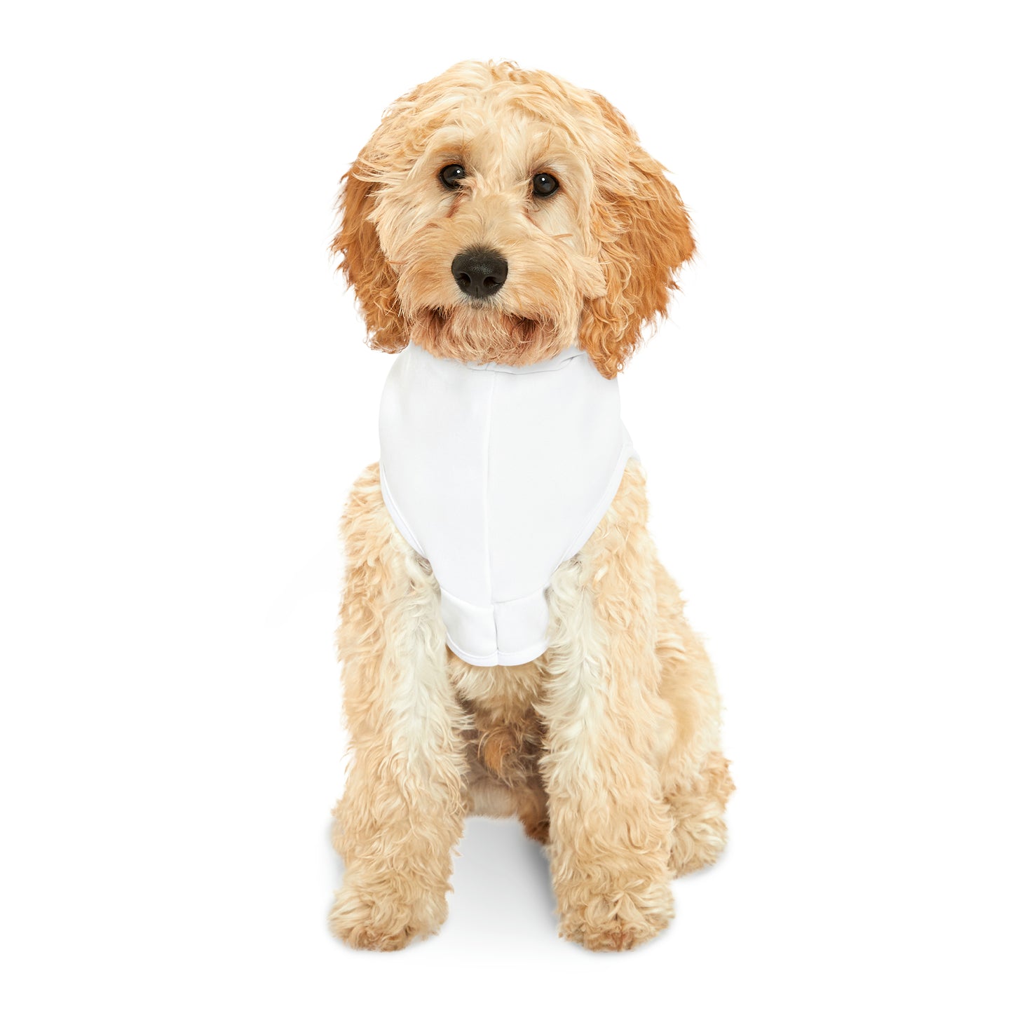 GoJoe Pet Hoodie